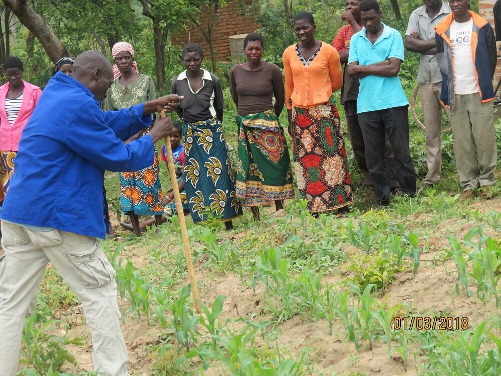 Pamoza staff member, Sir John, teaching people how to apply fertilizer